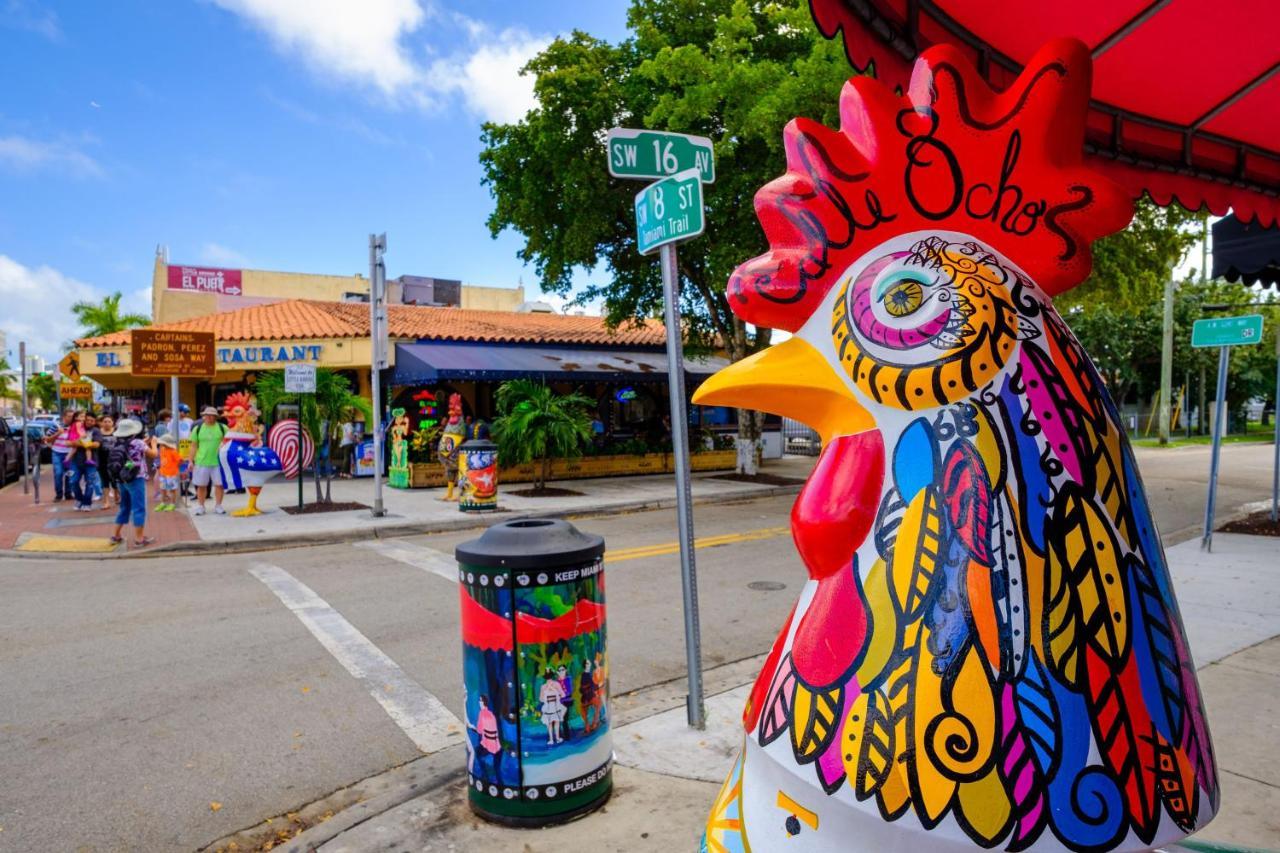 Cozy Room In The Heart Of Little Havana マイアミ エクステリア 写真